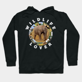 Wildlife Lover Elephant Calf Hoodie